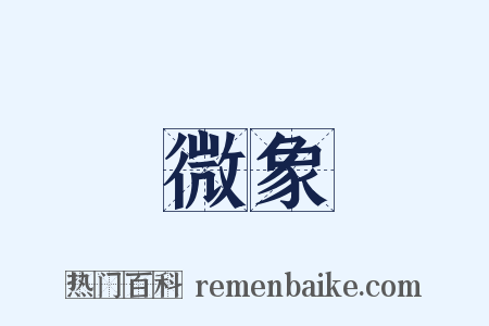 微象是什么意思的图片